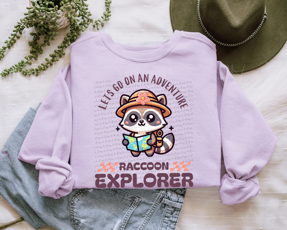 Let's Go On An Adventure Raccoon Explorer 59535 DTF transfer