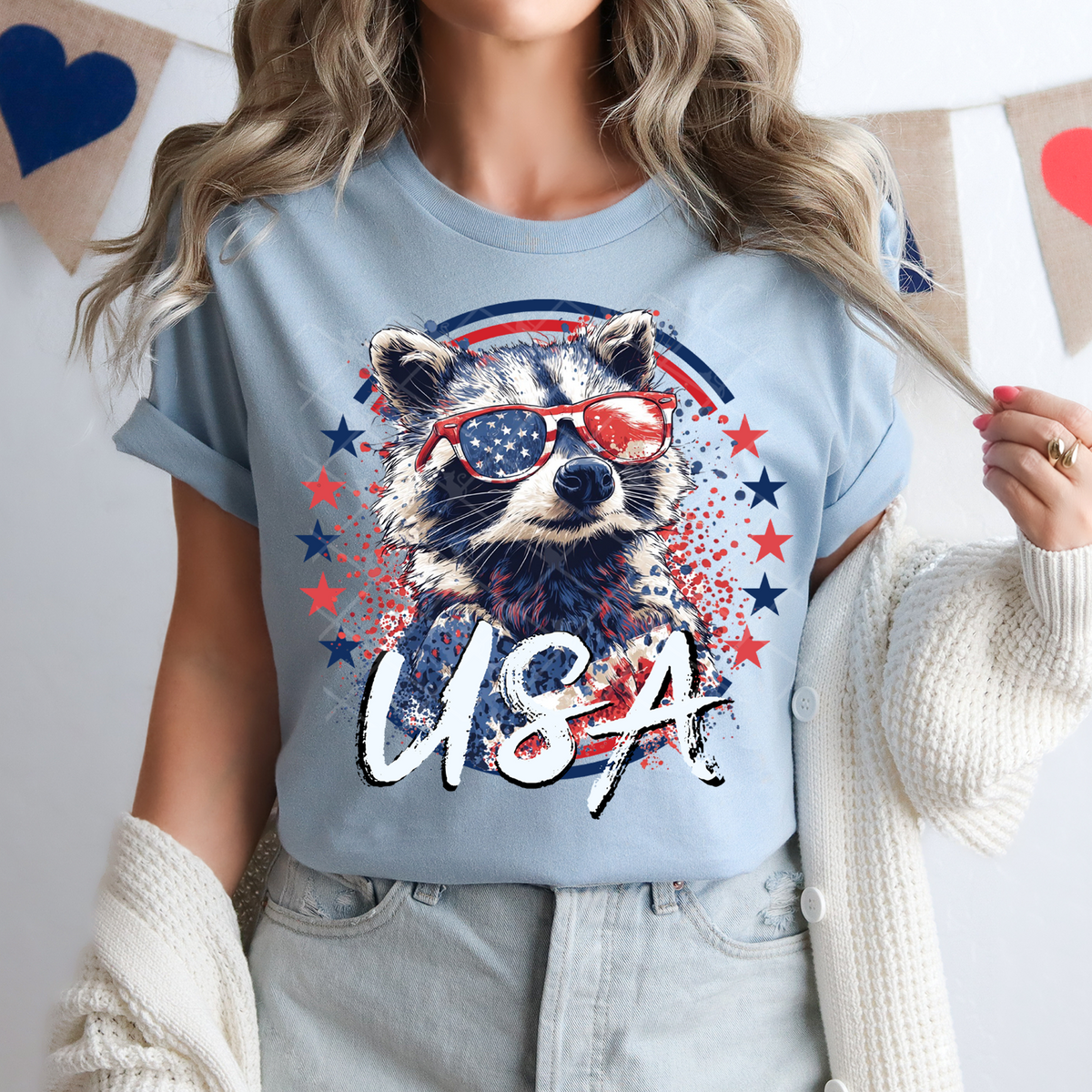 USA raccoon (TTD) DTF Transfer