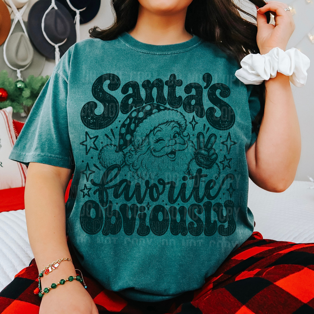 Santa's favorite obviously GREEN (SBB) DTF Transfer