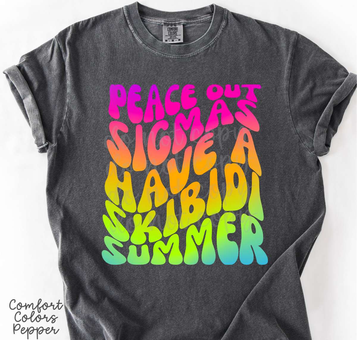 Have a skibidi summer (Parker) 102528 DTF transfer