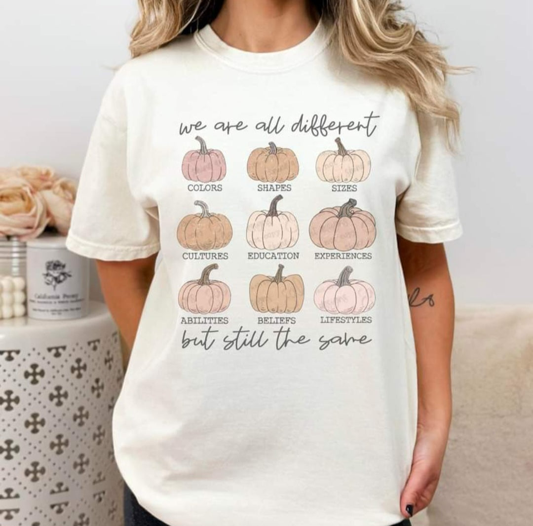 We are all differwmt but still the same PUMPKINS DTF Transfer