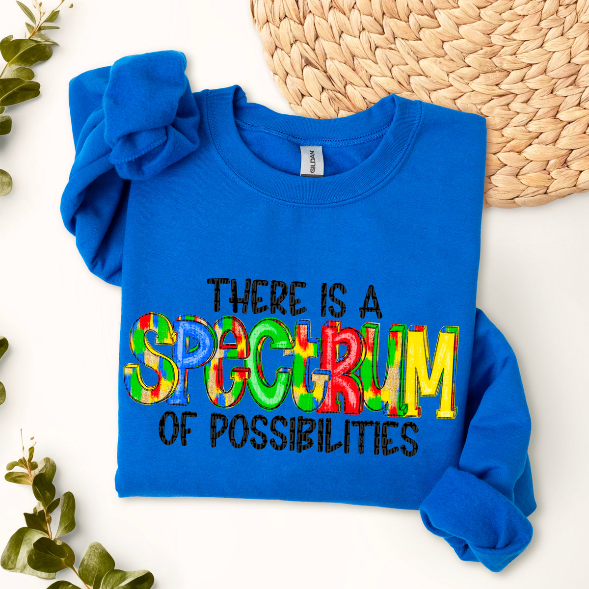 There Is A Spectrum Of Possibilities BLACK (SDD) DTF Transfer