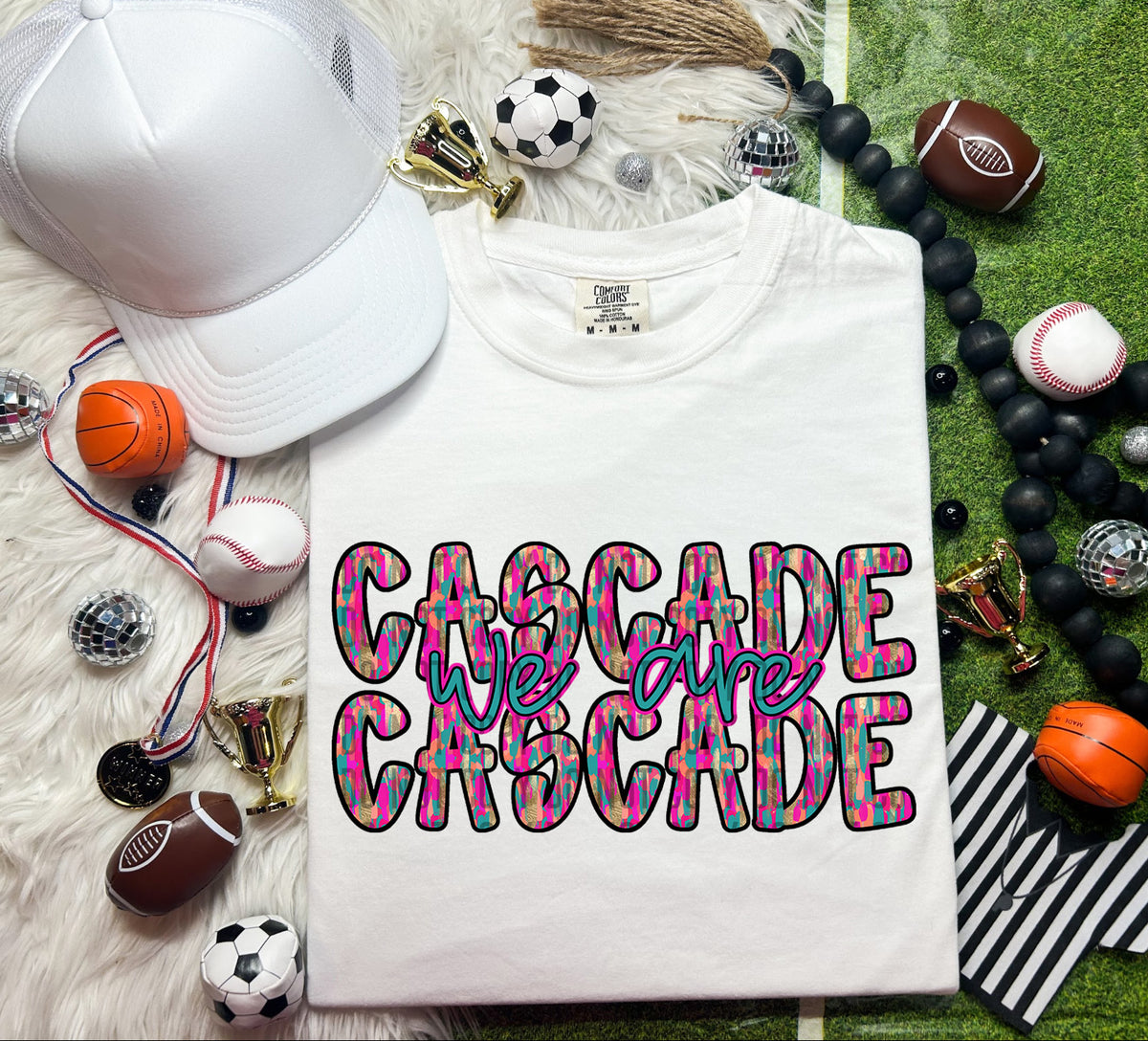 We Are Cascade Brushstroke (CITY) 69735 DTF transfer