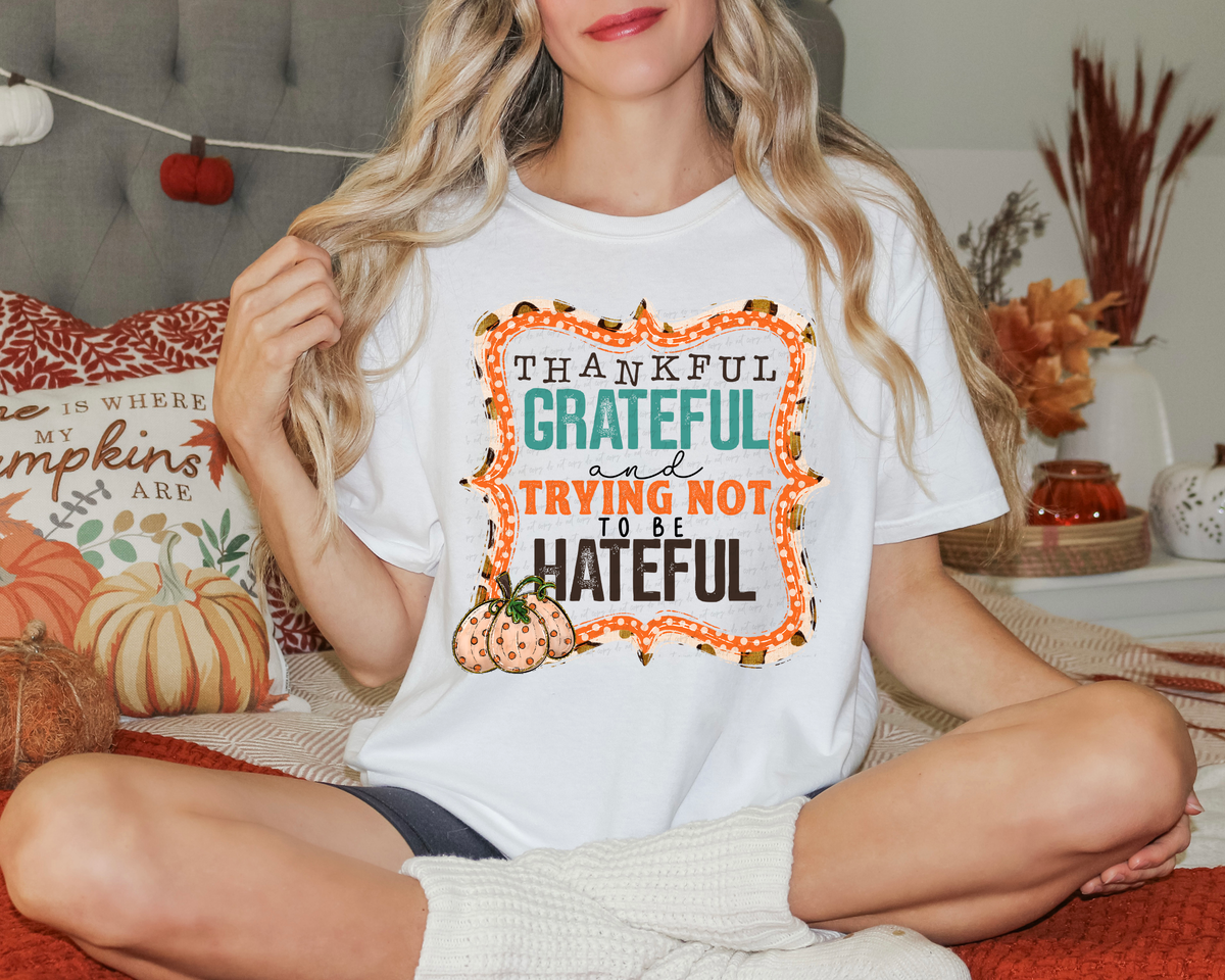 Thankful Grateful and Trying Not To Be Hateful Orange Boarder Pumpkins 116664 DTF Transfer