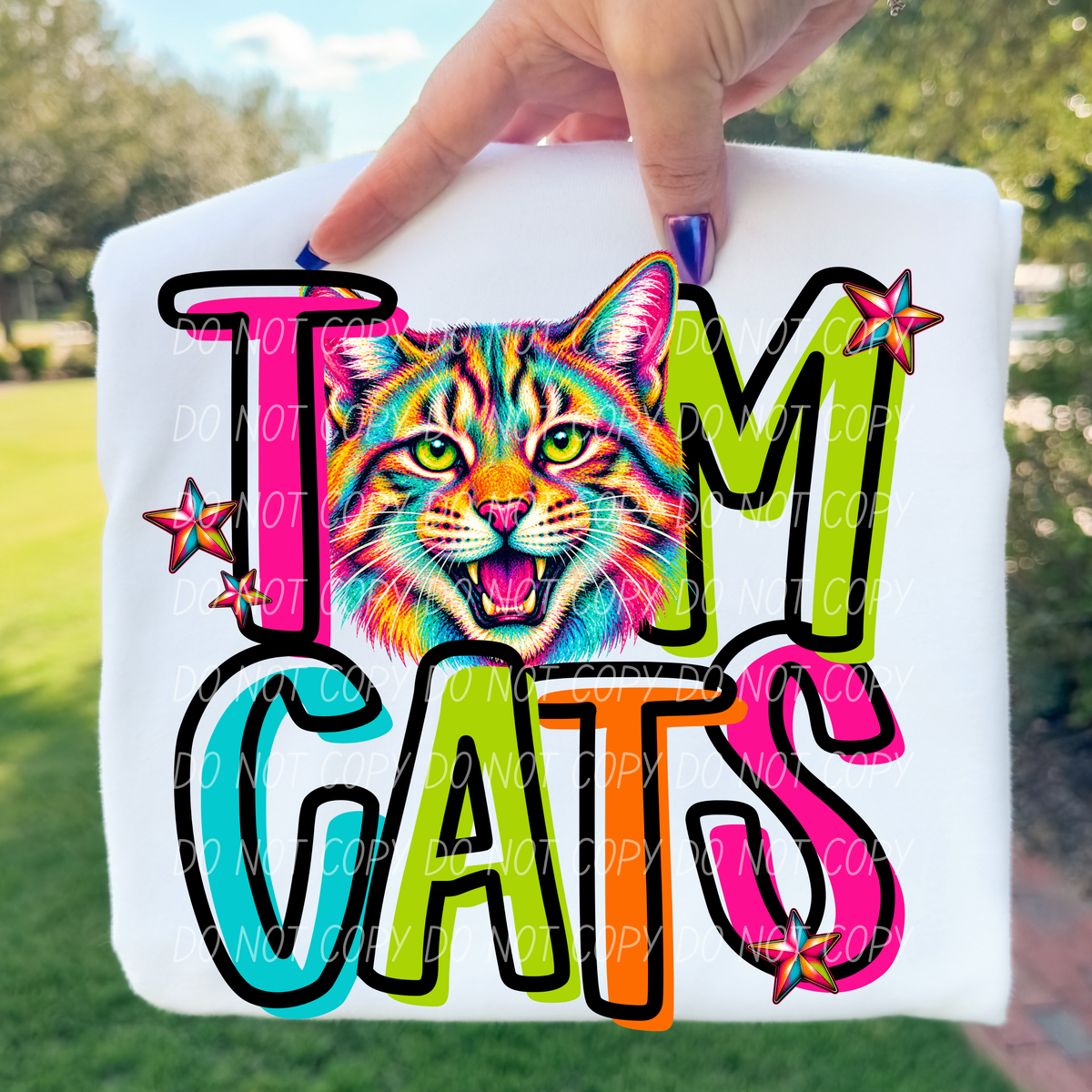 tomcats rainbow stacked with head (city) DTF Transfer