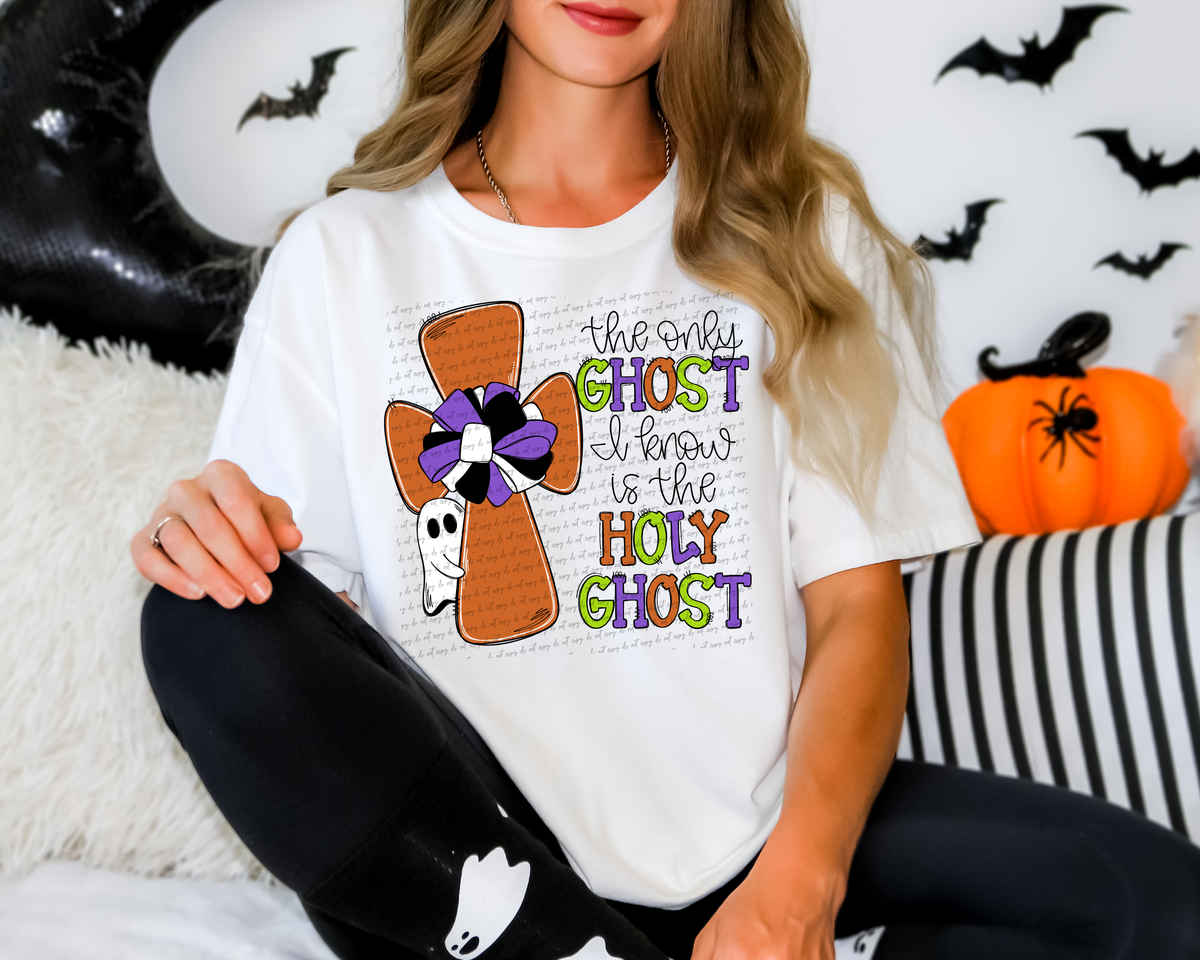 The Only Ghost I Know Is The Holy Ghost 104706 DTF transfer