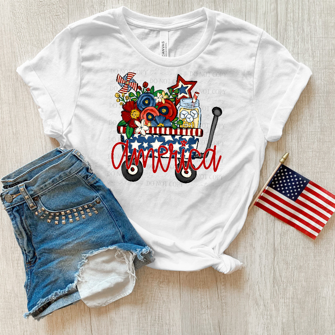 America wagon (ABD) DTF Transfer
