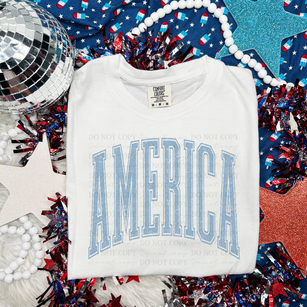 America arched light blue distressed (Scarlow) DTF Transfer