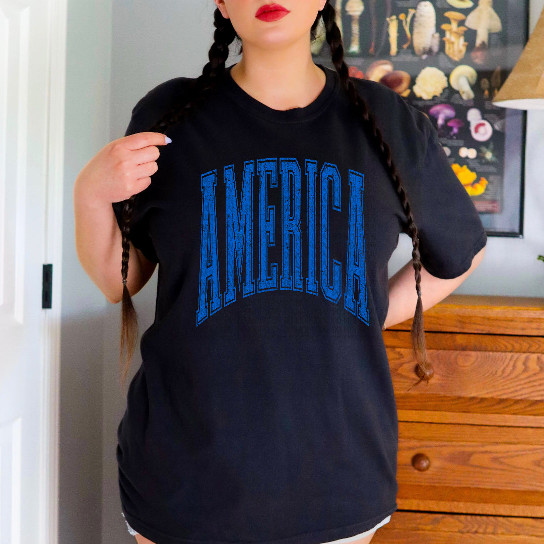 America varsity arched BLUE (Scarlow) DTF Transfer