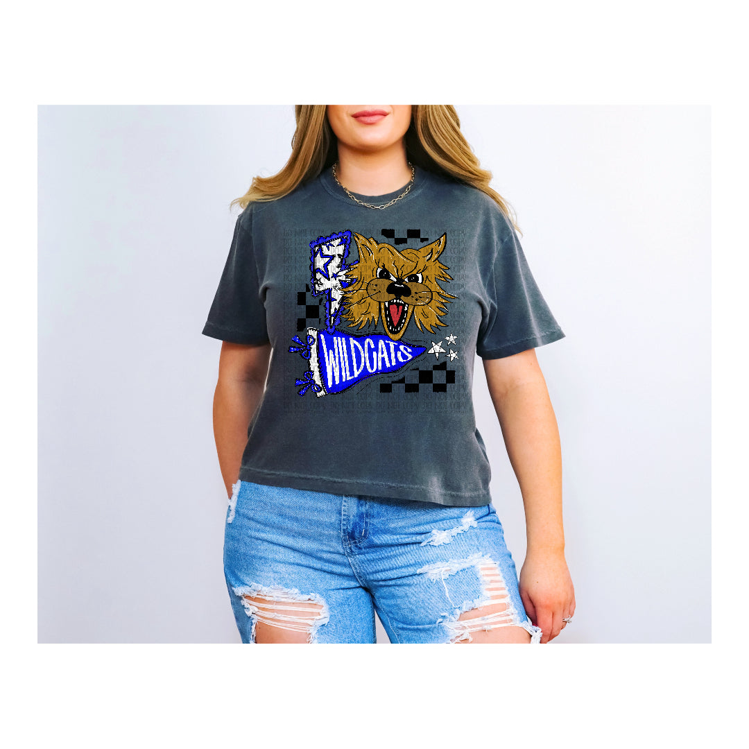 Wildcats lightning bolt mascot flag (OHDD) DTF Transfer