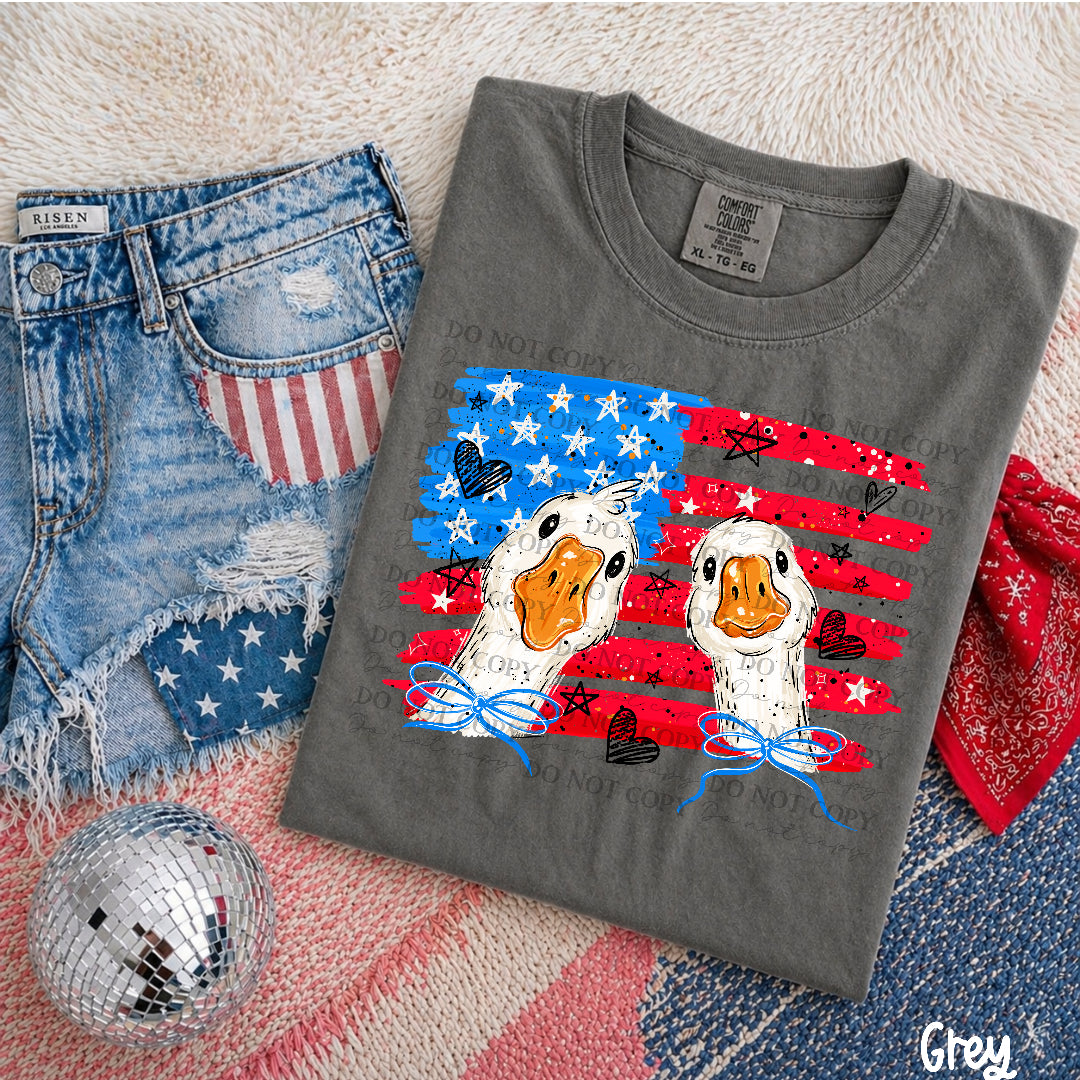 Flag with geese (AG) DTF Transfer