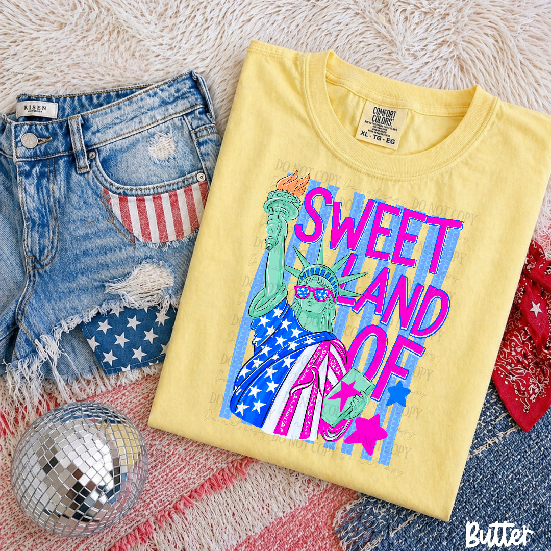 Sweet land of liberty PINK and BLUE (AG) DTF Transfer