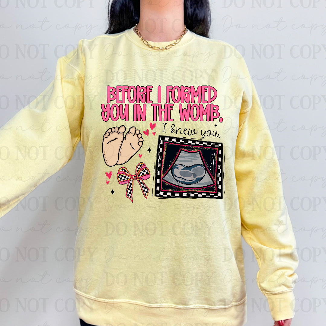 Before I formed you in my womb, I knew you PINK (OHDD) DTF transfer
