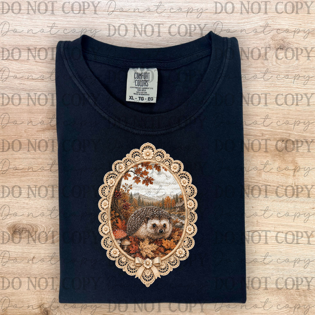 Fall hedgehog in picture frame (ABD) DTF Transfer