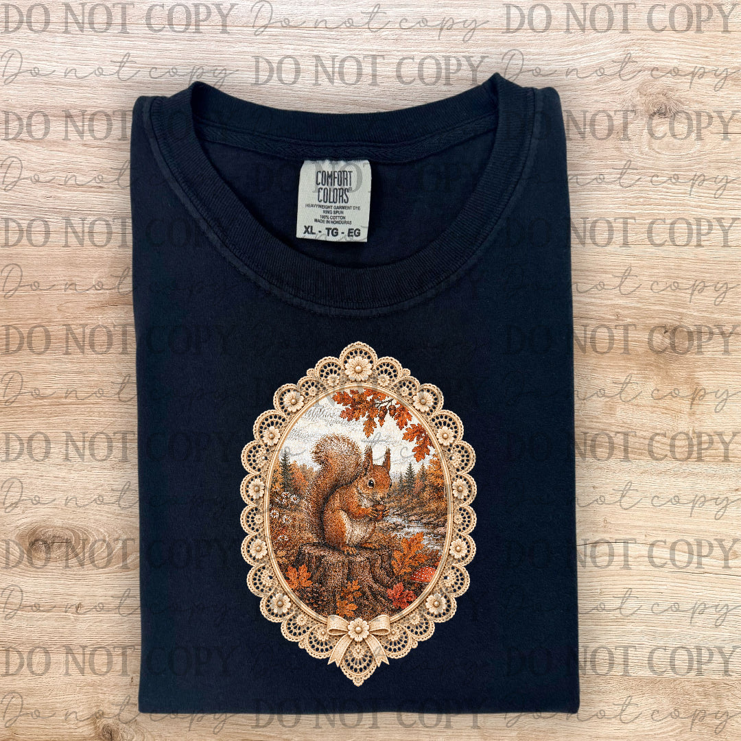 Fall squirrel in picture frame (ABD) DTF Transfer