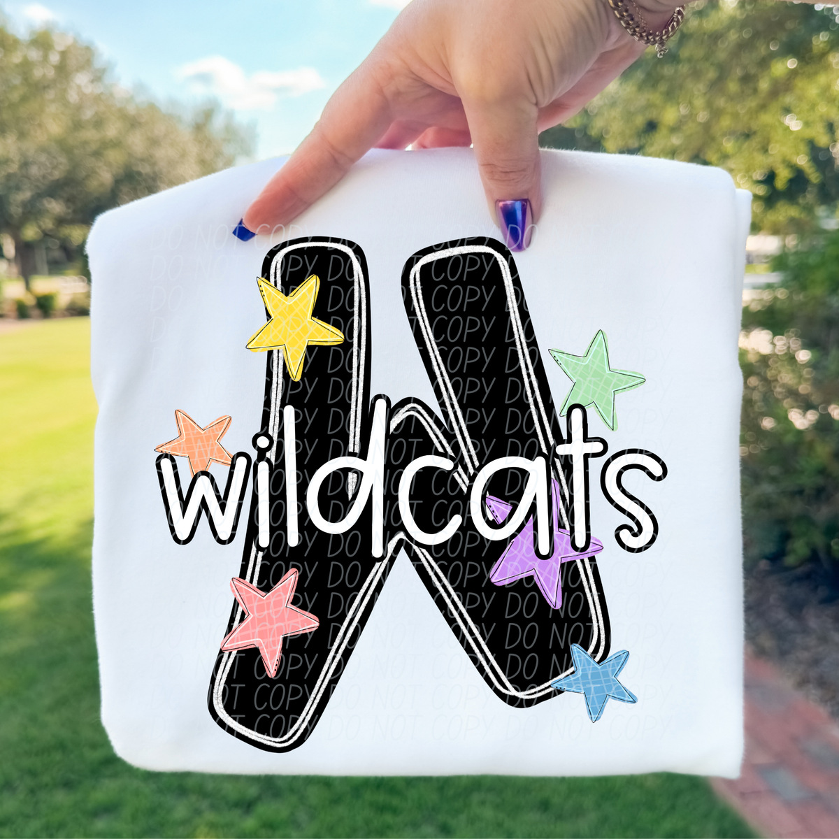 Wildcats star Mascots (CITY) DTF transfer
