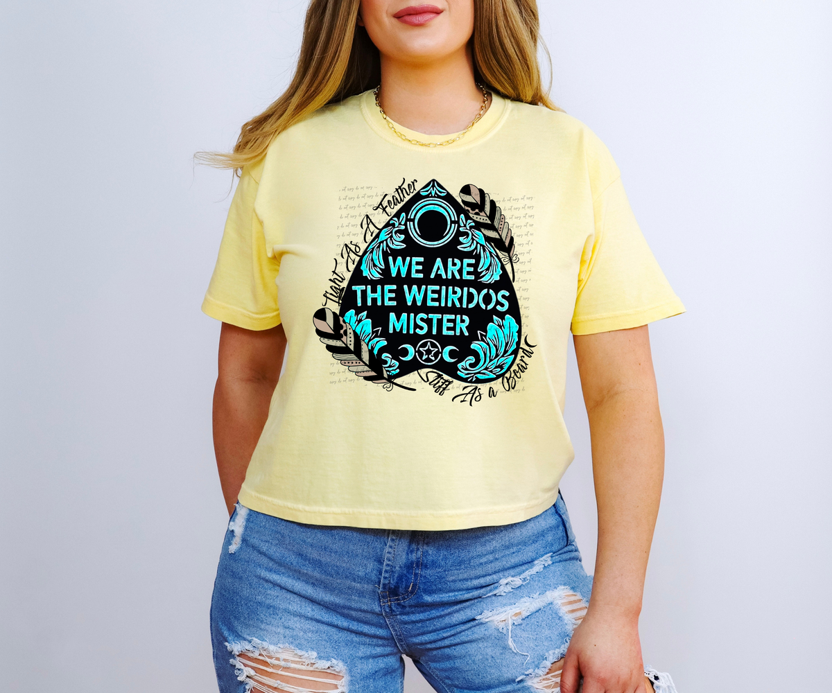 Tight As A Feather Stiff As A Board We Are The Weirdos Mister 63202 DTF transfer