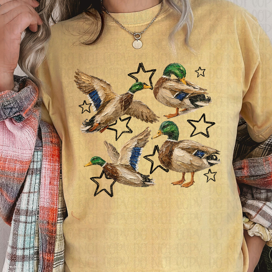 Ducks faux painted with black stars (Scarlow) DTF Transfer