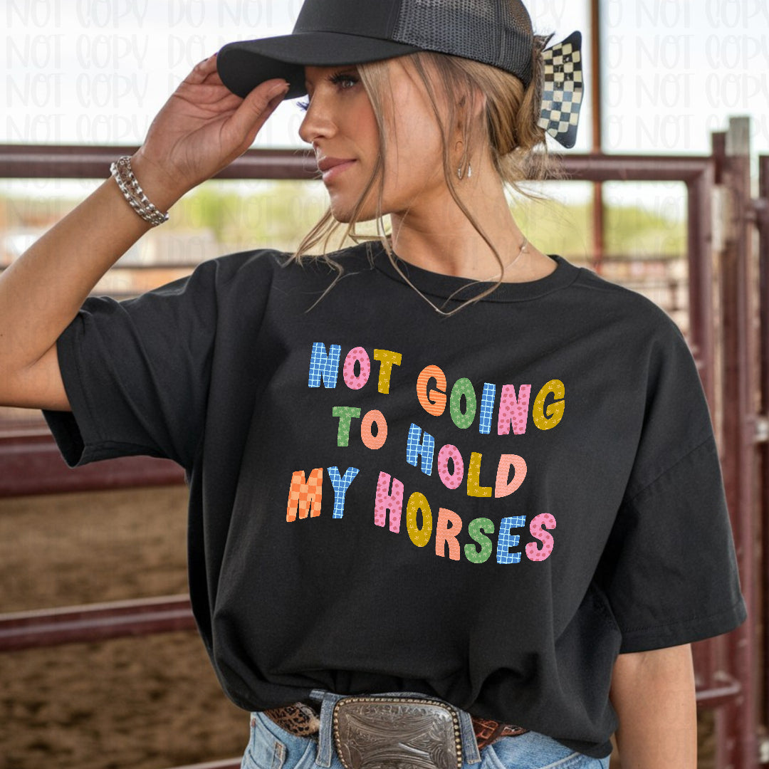 Not going to hold my horses colorful (Scarlow) DTF Transfer