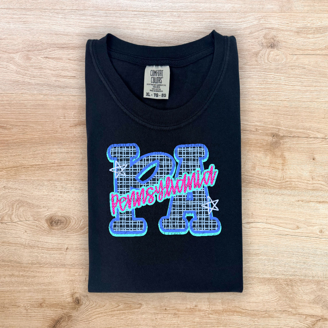 pennsylvania state design (kayndi) DTF transfer