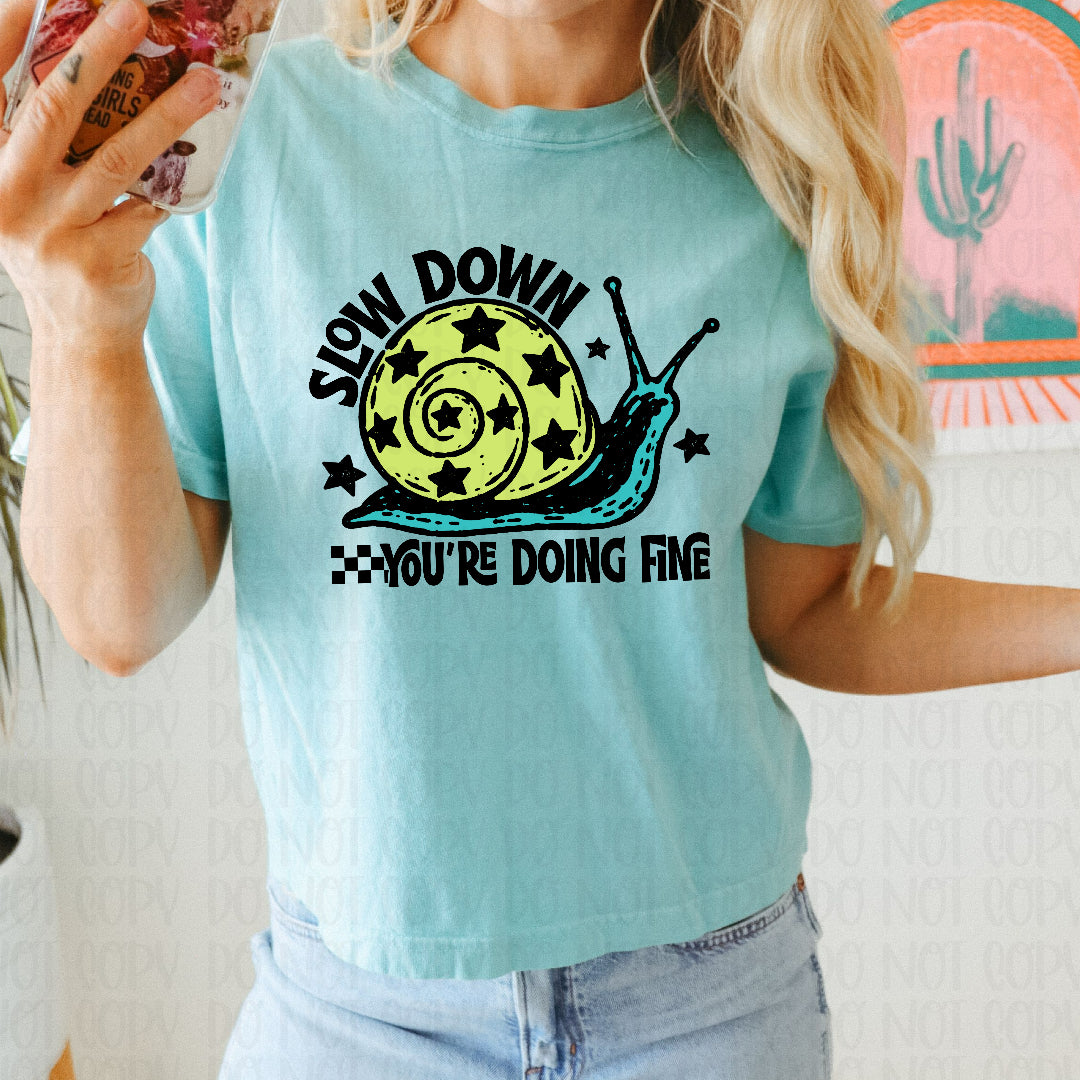 Slow down you're doing fine snail (Scarlow) DTF Transfer