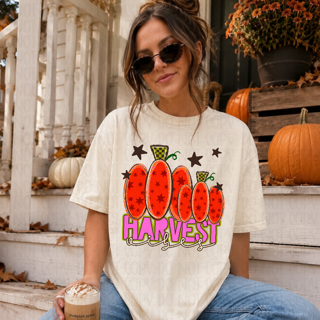 Harvest vibes pumpkin (C's) DTF Transfer