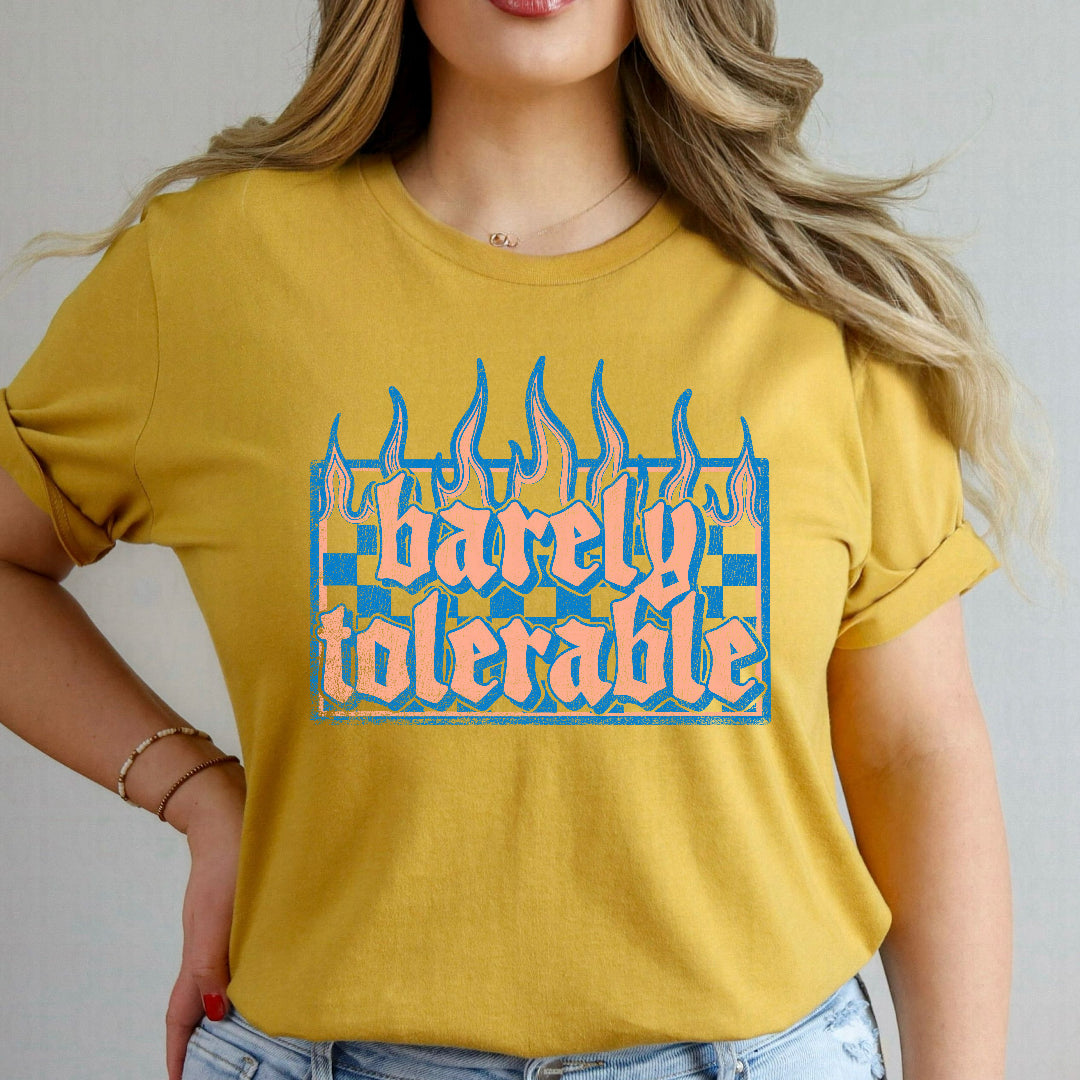 Barely tolerable blue and peach checkers and flames (Scarlow) DTF Transfer