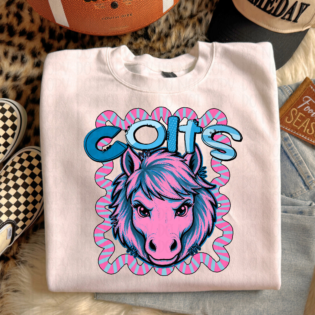 Colts whimsy frame (Kayndi) DTF transfer