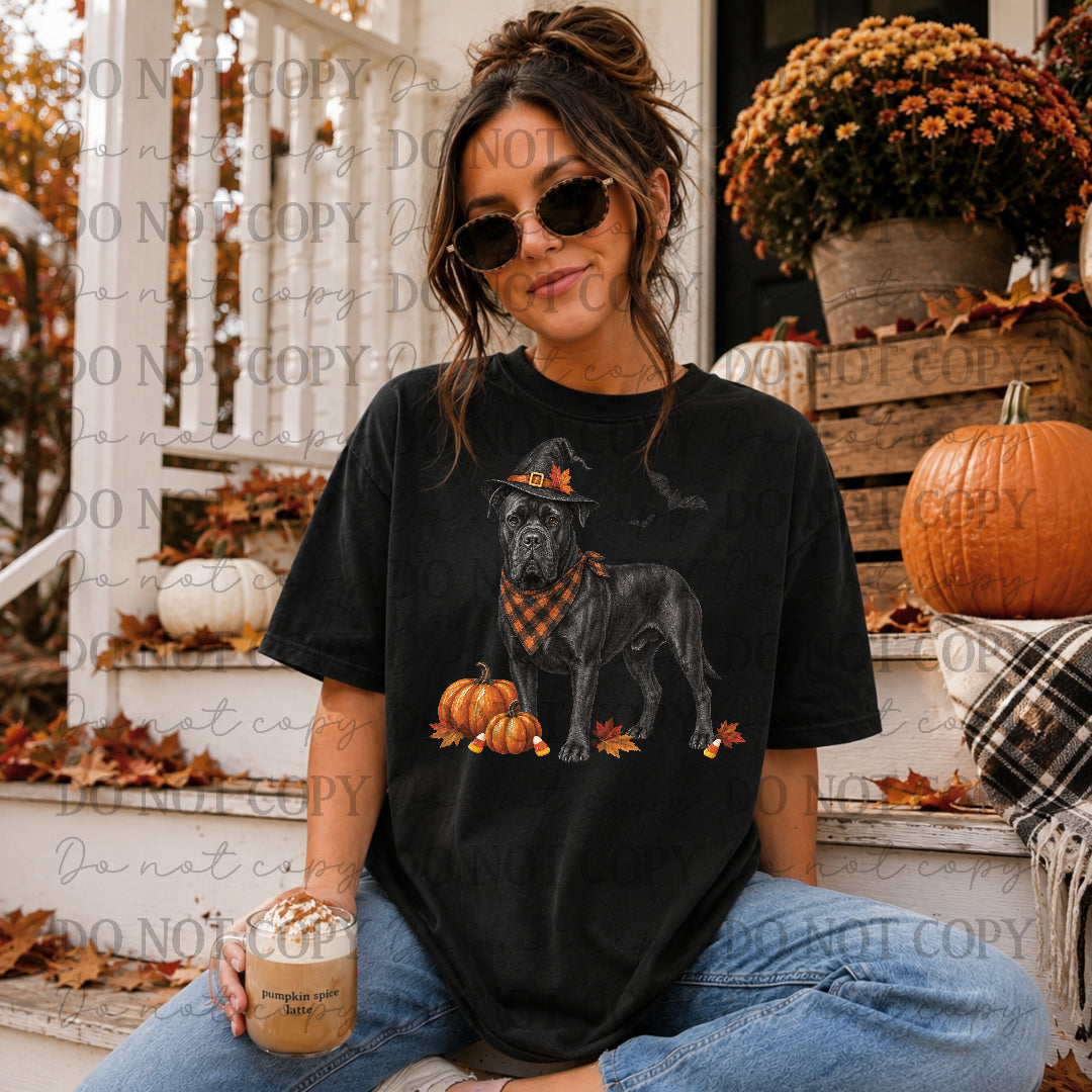 Cane Corso Halloween (STD) DTF Transfers