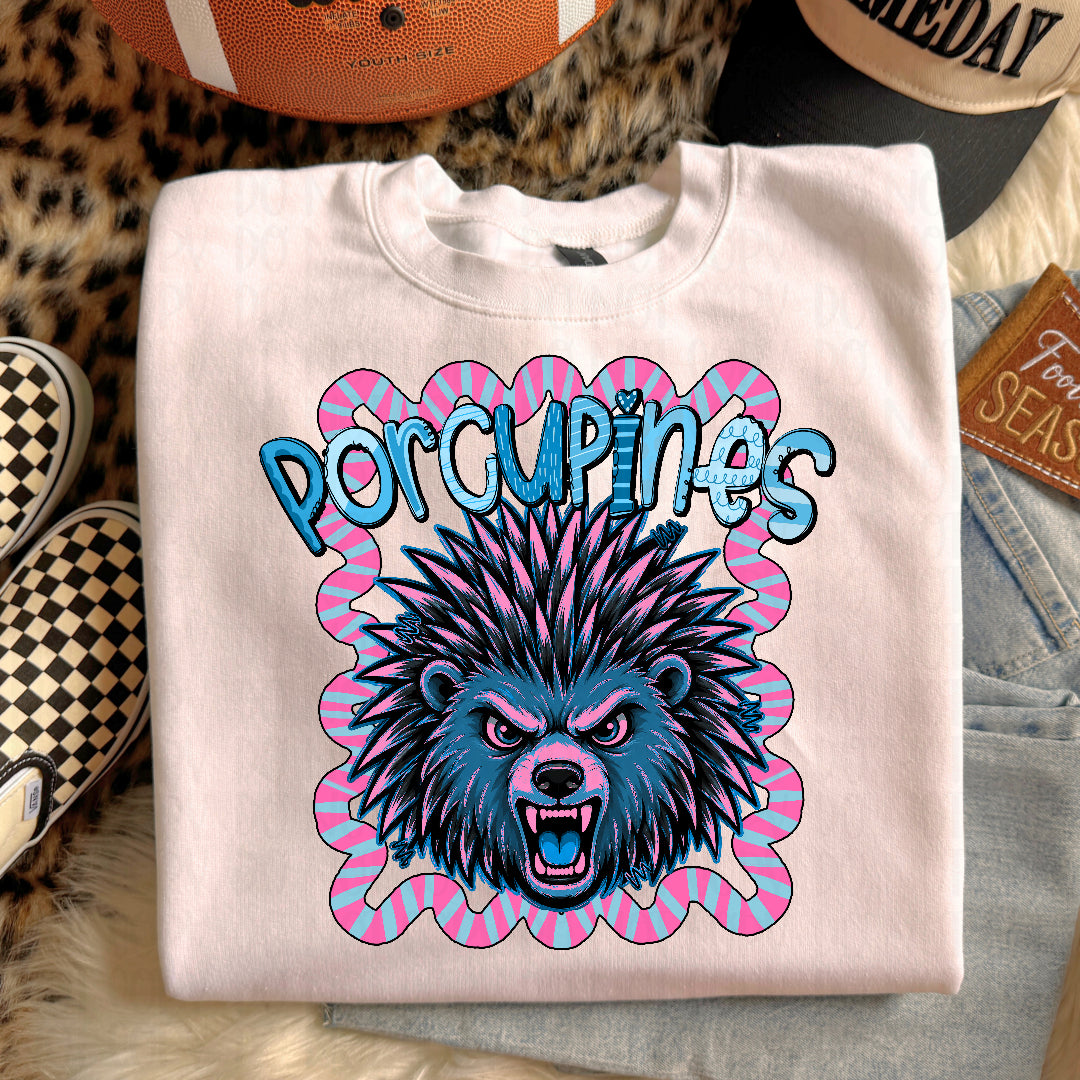 Porcupines whimsy frame (Kayndi) DTF transfer