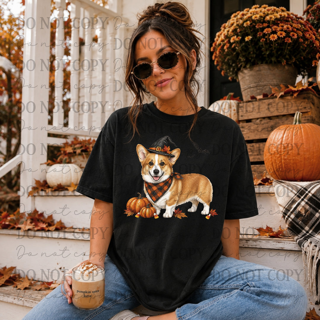Corgi Halloween (STD) DTF Transfers