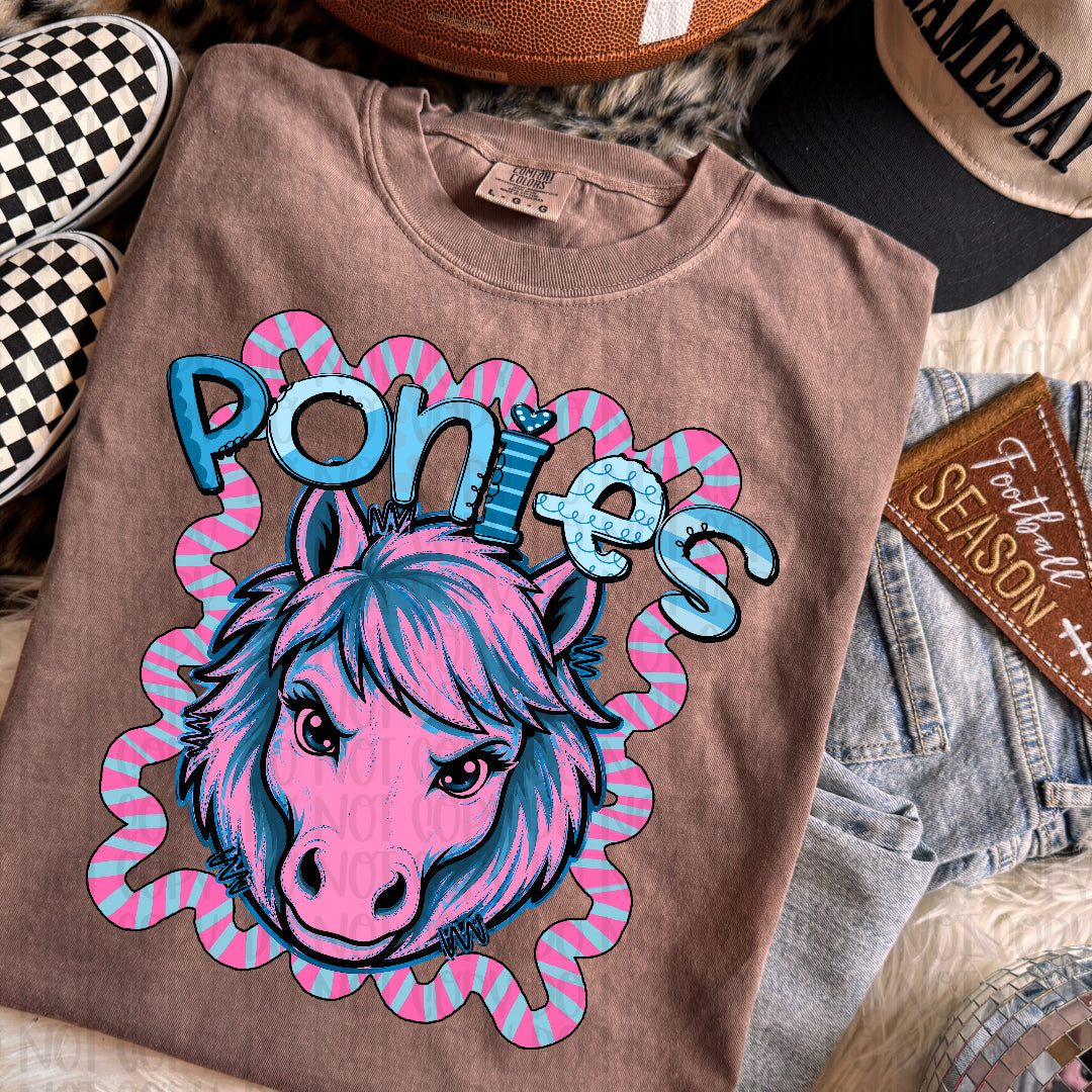 Ponies whimsy frame (Kayndi) DTF transfer