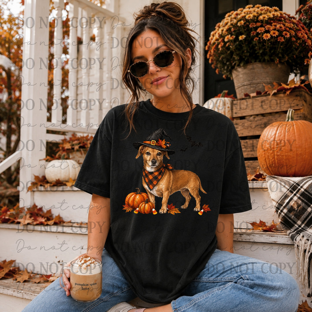 Dachshund  Halloween (STD) DTF Transfers