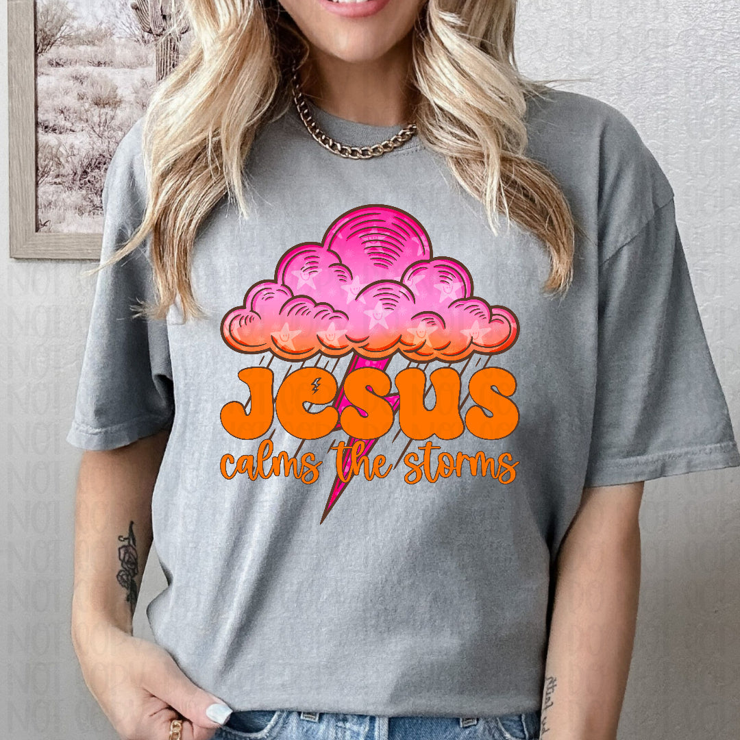Jesus calms the storm pink and orange (Vehement) DTF Transfer