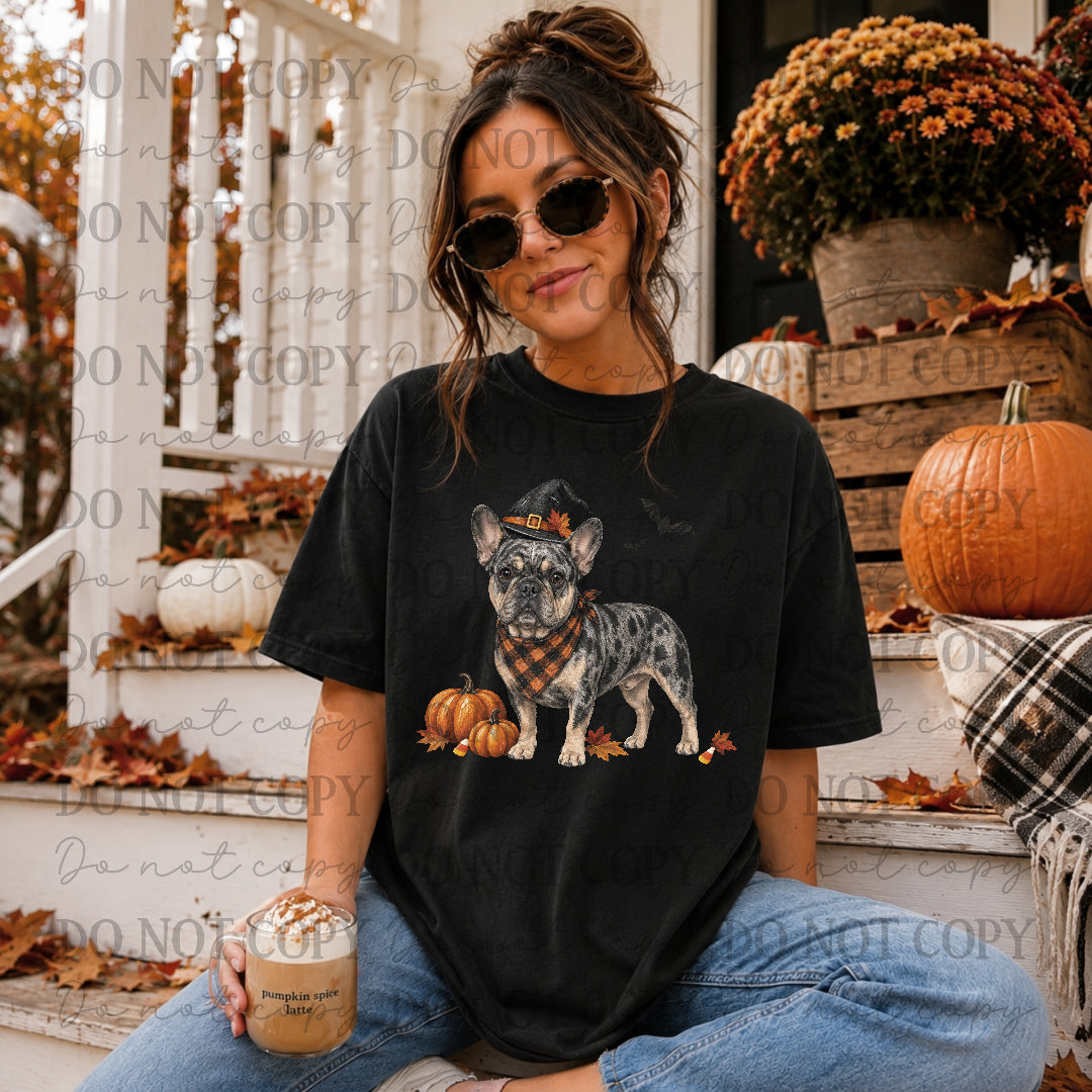 Frenchie Halloween (STD) DTF Transfers