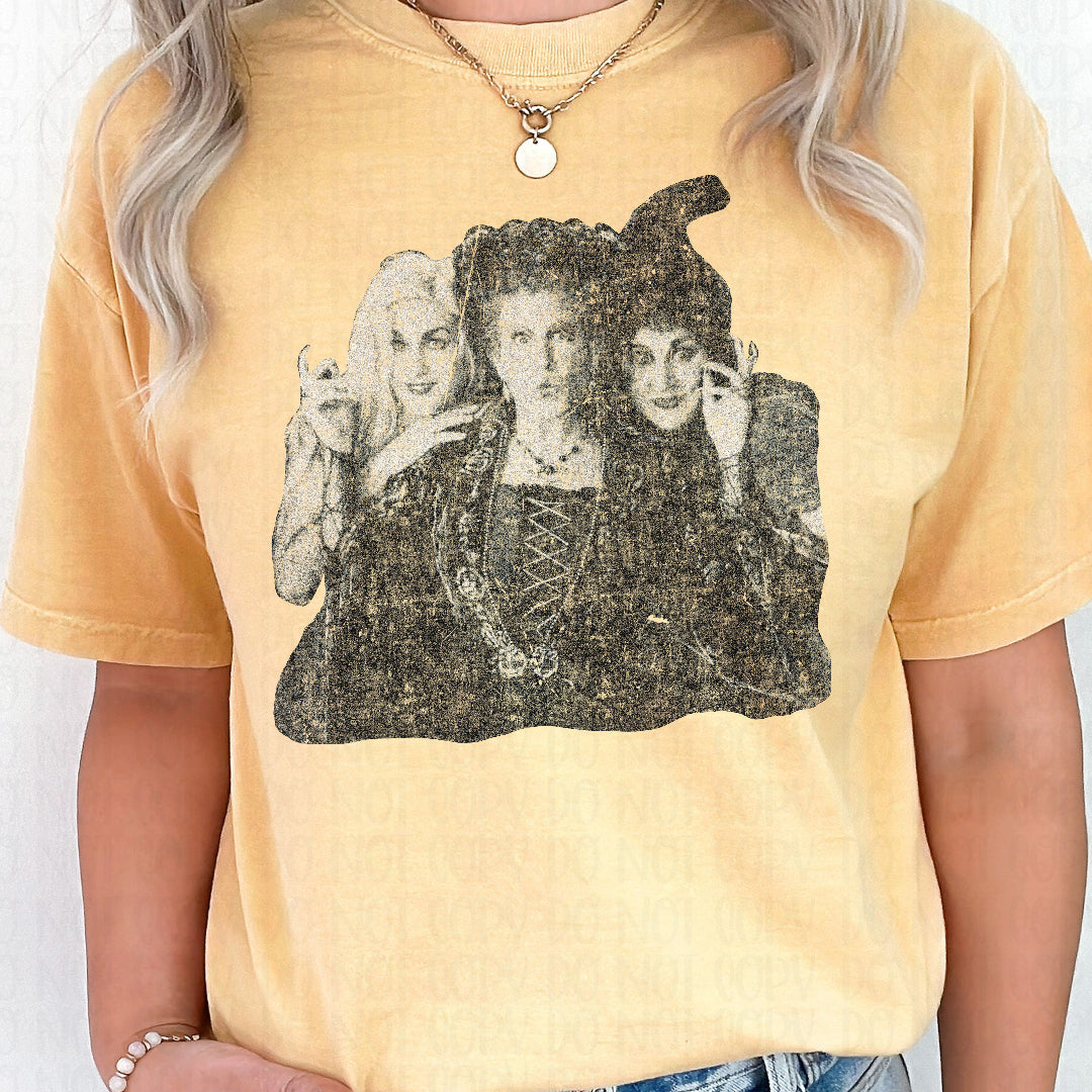 Sisters GRAY distressed (Scarlow) DTF Transfer