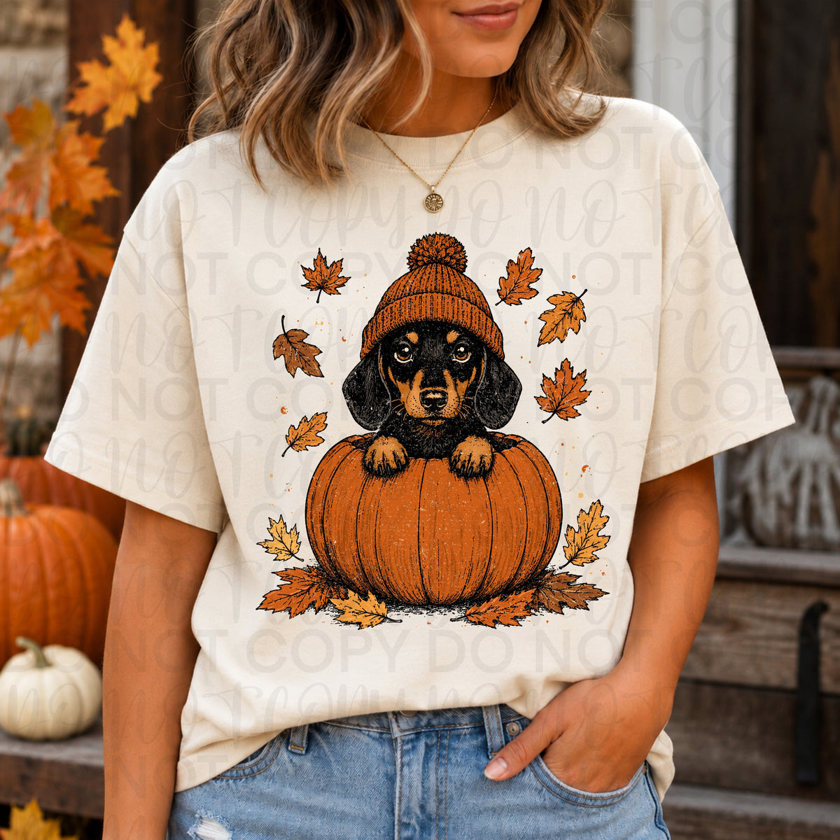 Weenie dog in pumpkin (UAC) DTF transfer