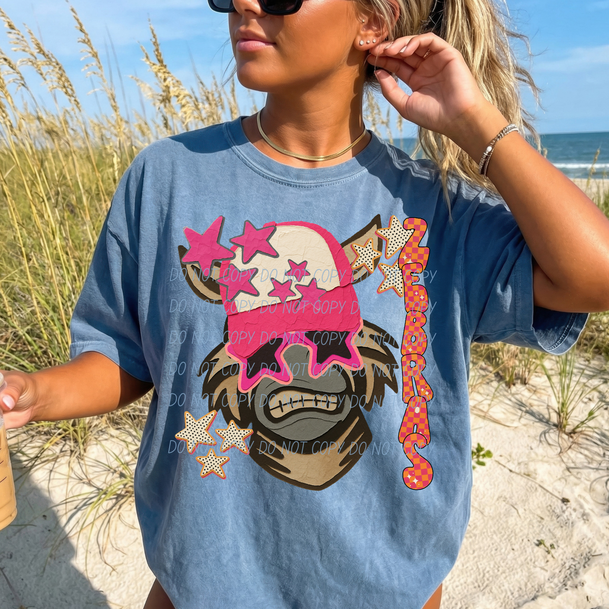 Zebras pink stars (City) DTF Transfer