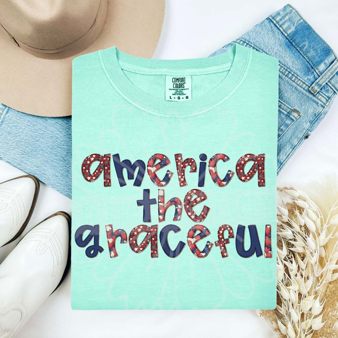 America the graceful RWB pattern filled letters (Vehement) DTF Transfer