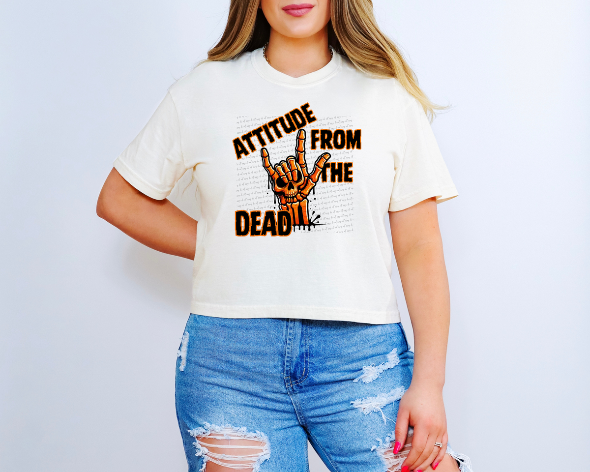 Attitude From The Dead 42445 DTF transfer