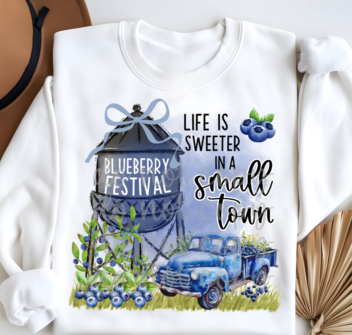 Blueberry Festival Life is sweeter in a small town (Parker) 101716 DTF transfer