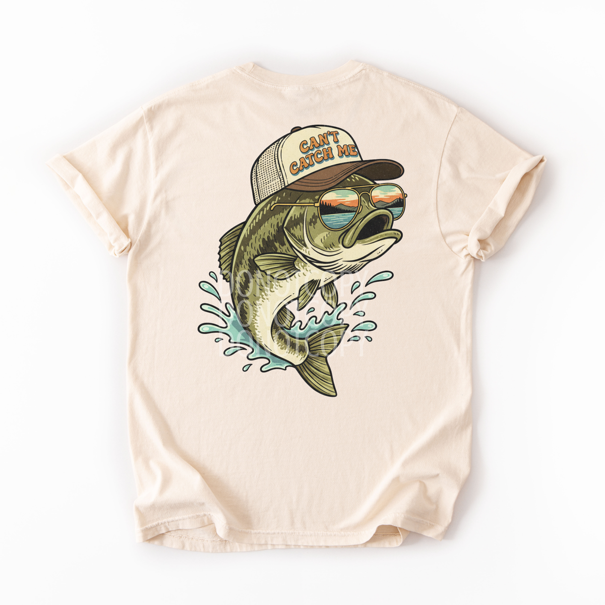 Can't catch me fish (CSG) DTF Transfer