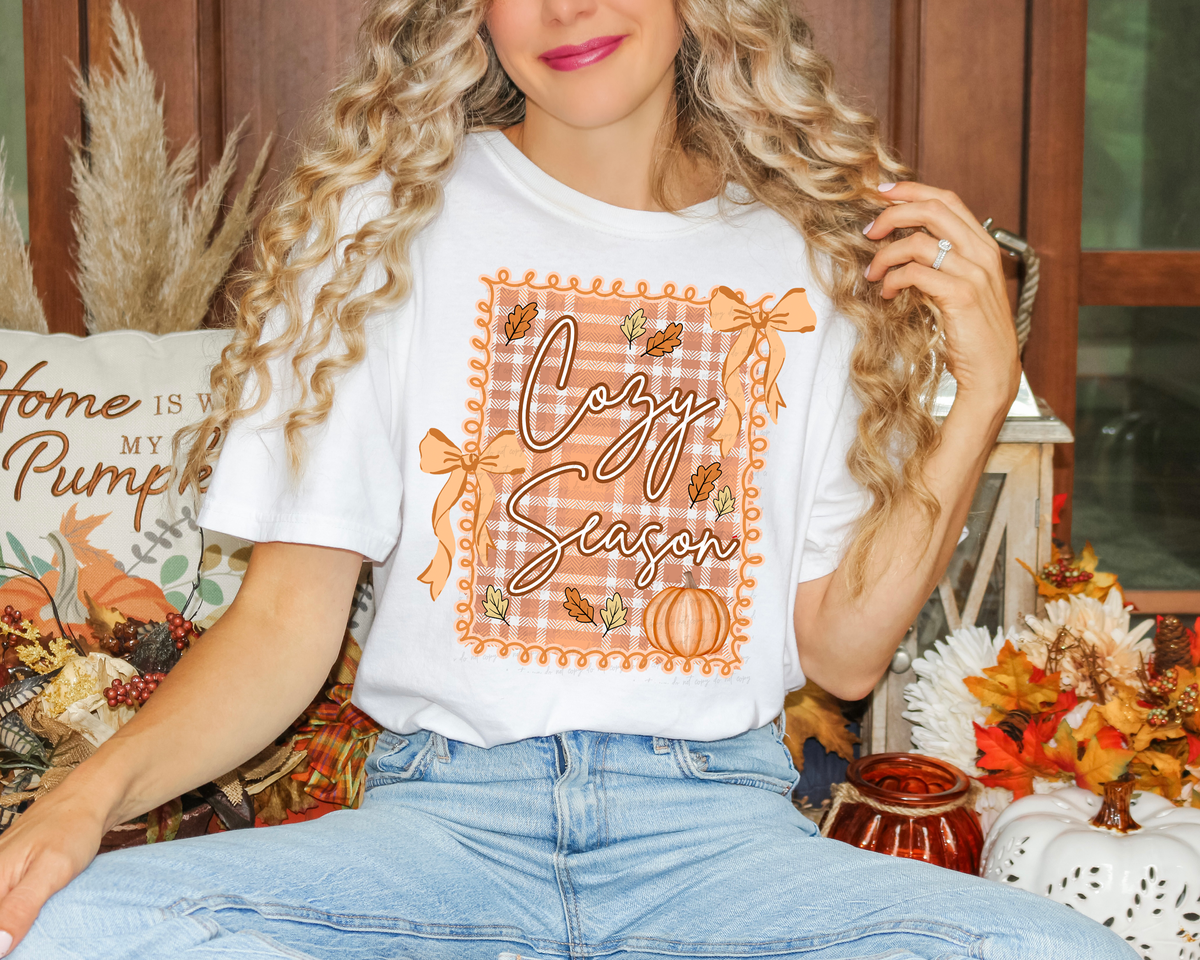 Cozy Season Plaid Frame Bows 108865 DTF transfer