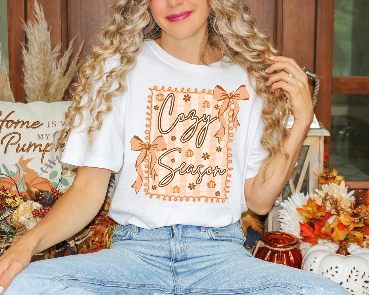 Cozy Season Stripe Frame Bows 108866 DTF transfer