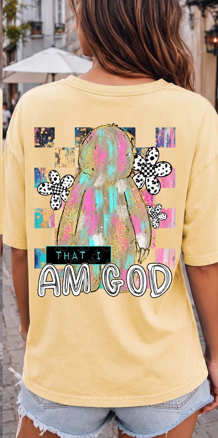 That I am God sloth (DWS) DTF Transfer