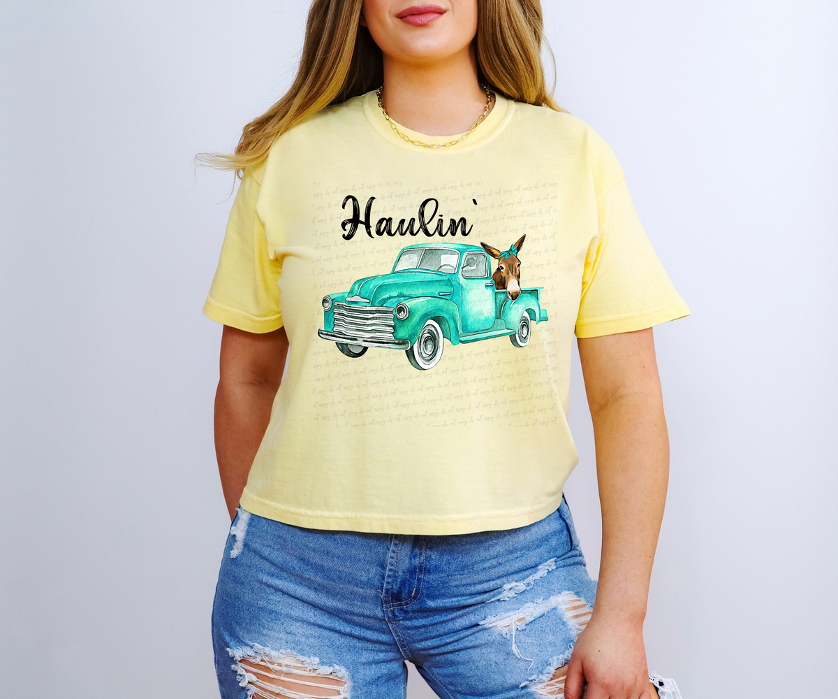 Haulin' Teal Truck with Donkey 117152 DTF Transfer