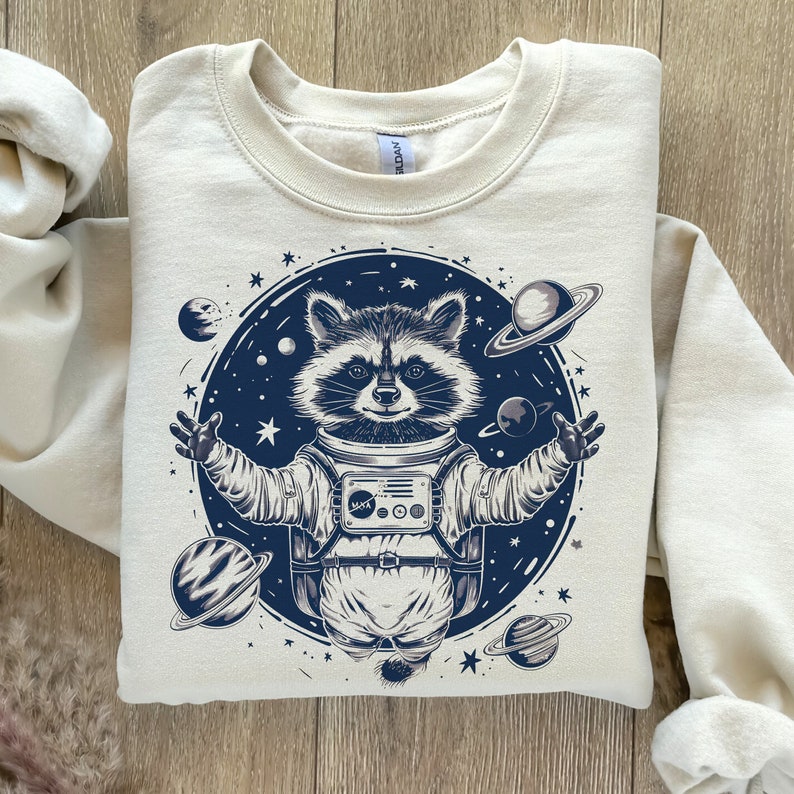 Houston problems raccoon circle DTF transfer