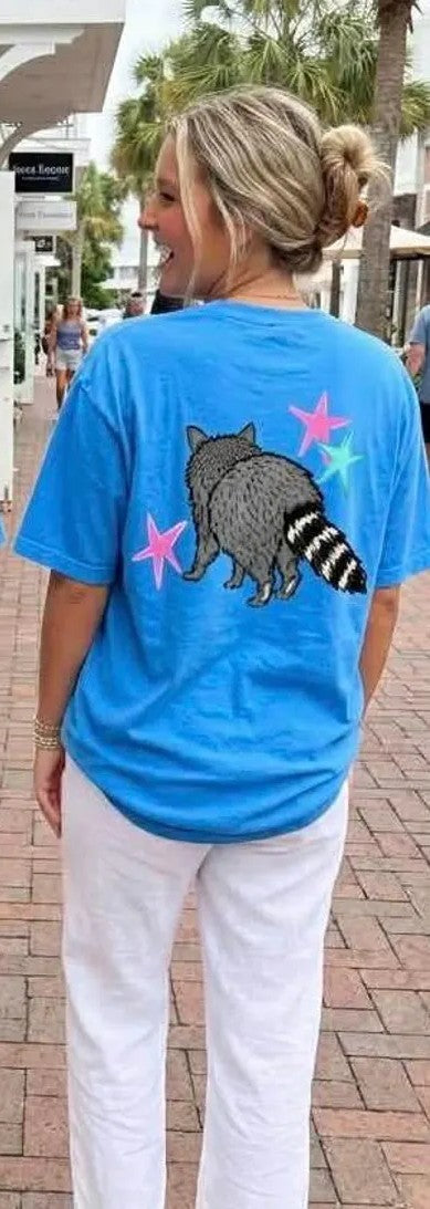 Raccoon BACK Sunday Special DTF transfer