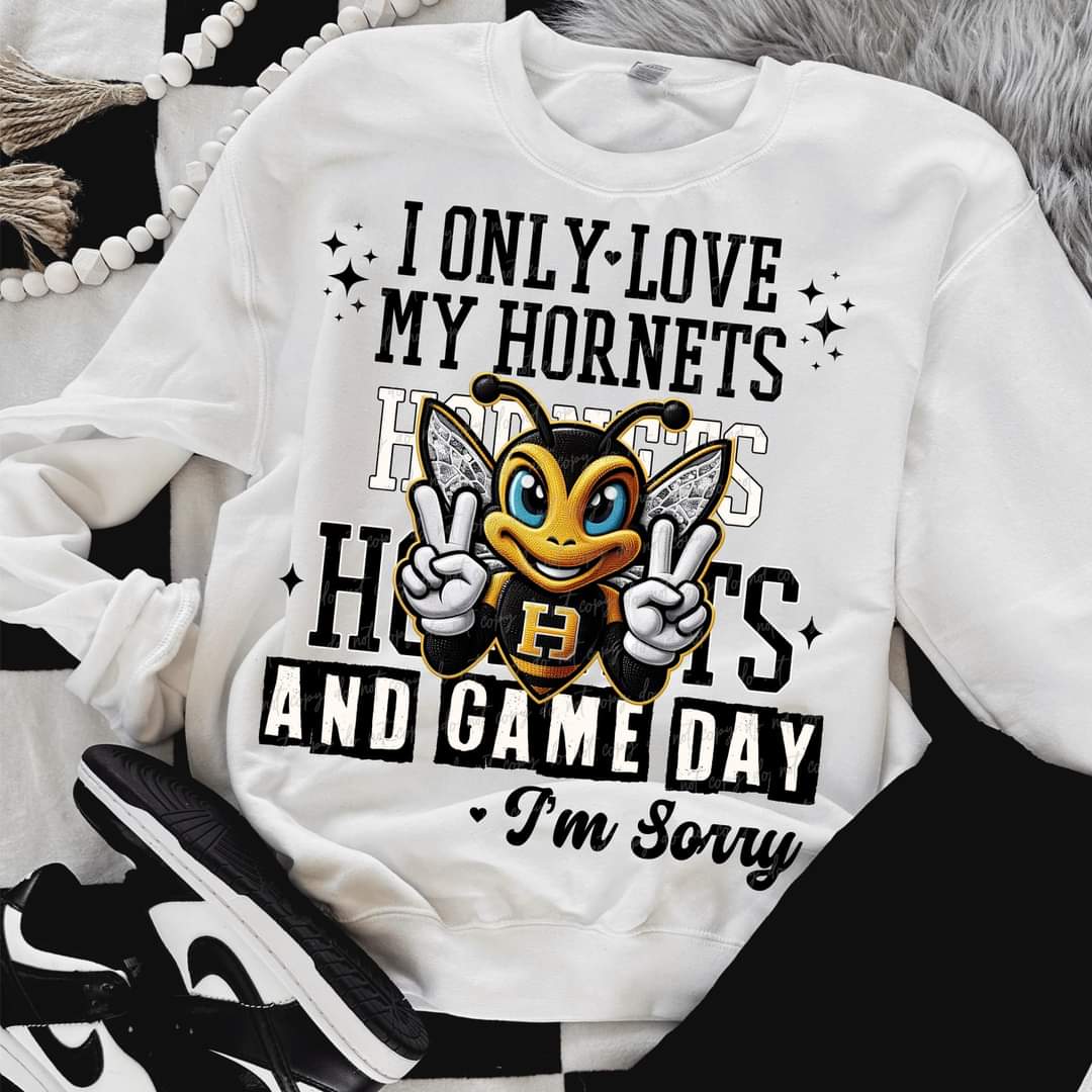 I Only Love My Hornets And Game Day I'm Sorry (VIRGO) 66813 DTF transfer