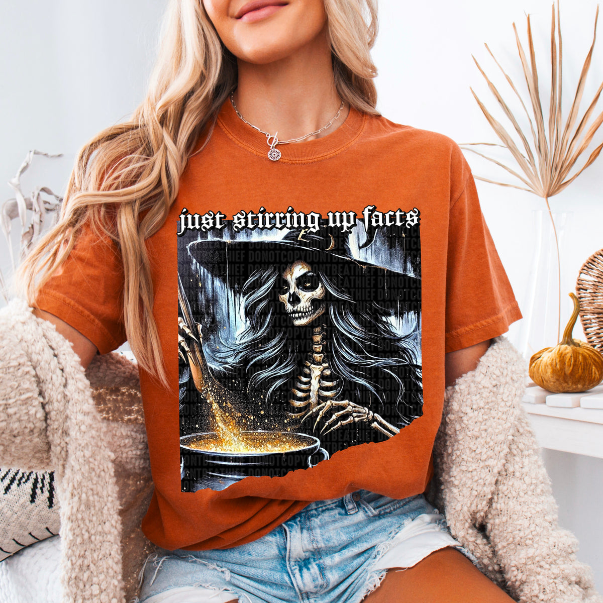 Just Stirring Up Facts Witch 104523 DTF transfer